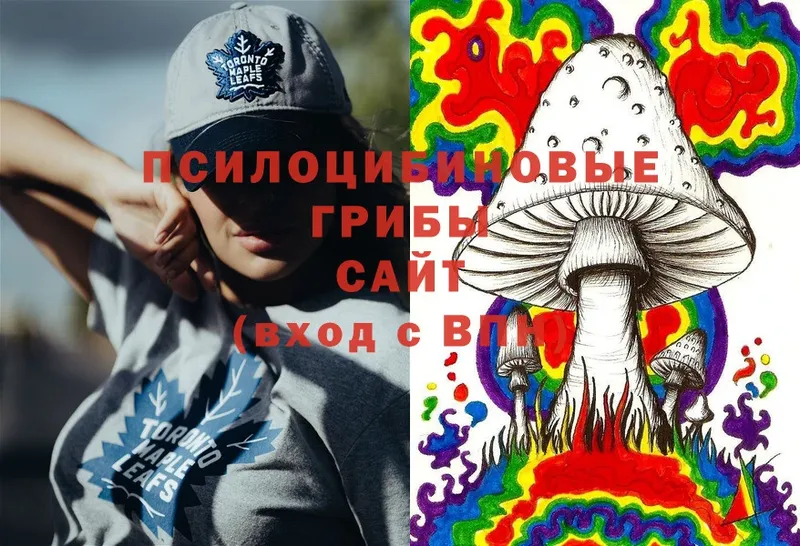 Галлюциногенные грибы Psilocybe  Сурск 